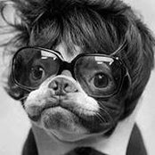 Steven Parsley's photo