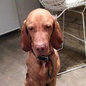 Freddy Grosman's photo