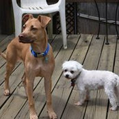 Colleen Moorman's photo