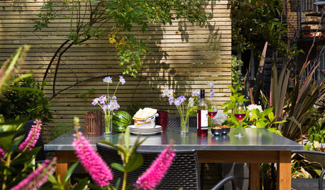 5 Questions to Ask Yourself Before Planning a Small Garden