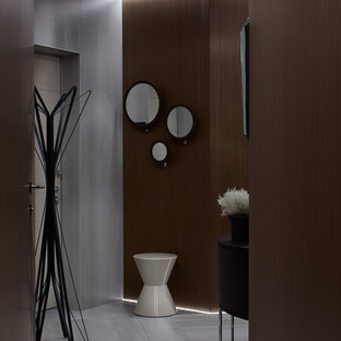 Выдающиеся фото от архитекторов и дизайнеров интерьера: входная дверь среднего размера в современном стиле с коричневыми стенами, полом из керамогранита, одностворчатой входной дверью, серой входной дверью и серым полом