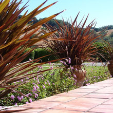 Front Patio