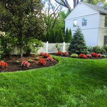 Side Yard