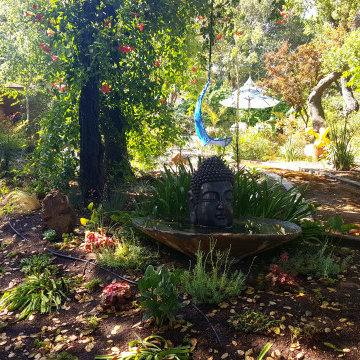 Black Point Garden