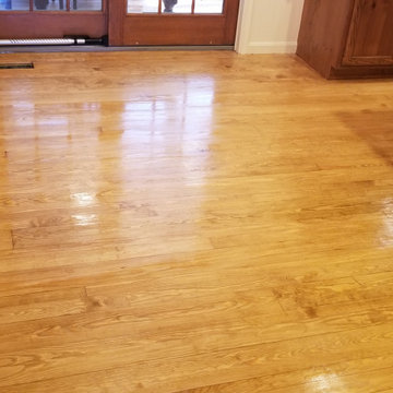 Yellow Pine Stained Golden Oak