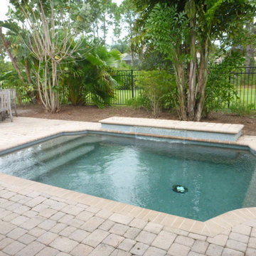 The Charleston Model
