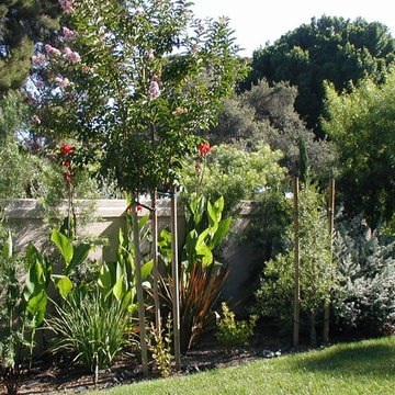 Mediterranean Garden - Emard Residence