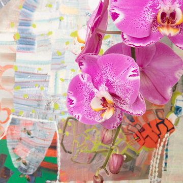 Orchids and Urso