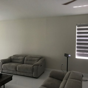 Zebra Illusion Shades - Wilton Manors, Florida