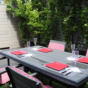 Danforth Modern Backyard Swim Spa