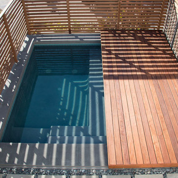 Design with Nature, Modern Hybrid