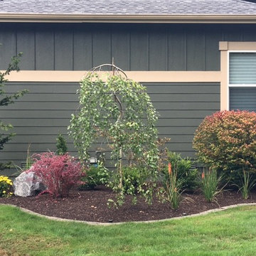After: south side house foundation planting bed