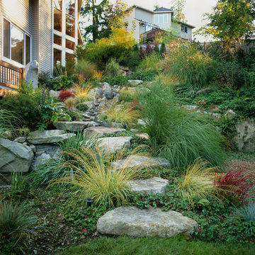 Pathway along the stream