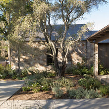 What We Based Original House Design On
