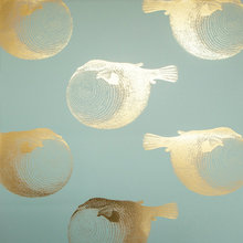 Wall Color Ideas