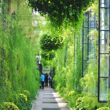 Green Spaces