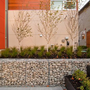 Cette photo montre un jardin sur cour tendance.