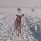 Foto de Ralf Mohr
