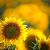Crystal Taylor's photo