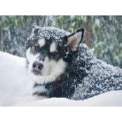 Shawn Stuck's photo