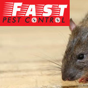 Foto von Pest Control Toowoomba