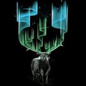 Andrei Banisor's photo