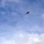 Emma McPherson's photo