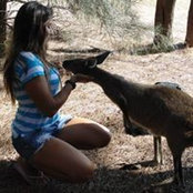 Dani Veloso's photo