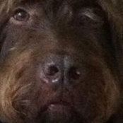 George Rogers's photo