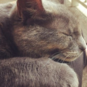 Jill Thissell's photo