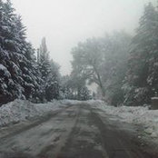 Sami Altamimi's photo