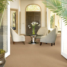 carpet