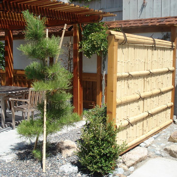 Bamboo Fencing