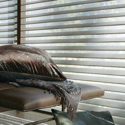 Silhouette Sheer Shadings - Window Treatments