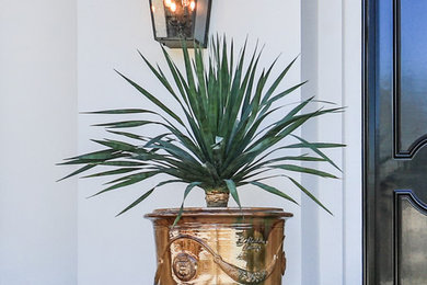 Entryway - contemporary entryway idea in Los Angeles