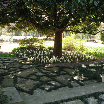 TGS Gardens