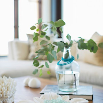 Coastal Mediterranean | Carlsbad
