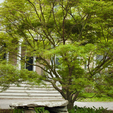 Fairy table and maple