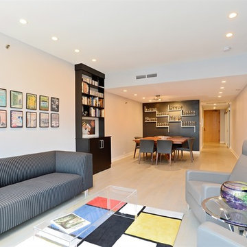 Streeterville Modern Condominium Renovation