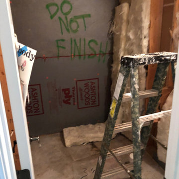 Basement Finishing + Deck Restauration