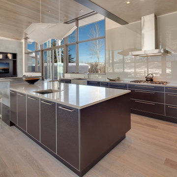 Starwood Modern Remodel Aspen