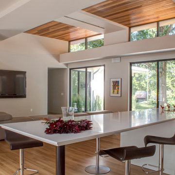 Modern Oak Hill Residence