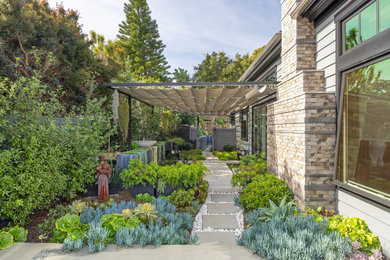 Patio - patio idea in Santa Barbara