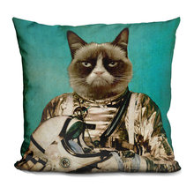 pillows
