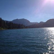 Michelle Hoffman-Vasquez's photo
