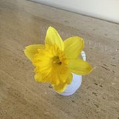 Foto de Doreen Eckmann