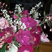 Lynn Piccola's photo