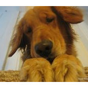 Susan Nudelman's photo