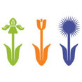 Little Miracles Designs's profile photo