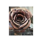 Clare Donovan's photo